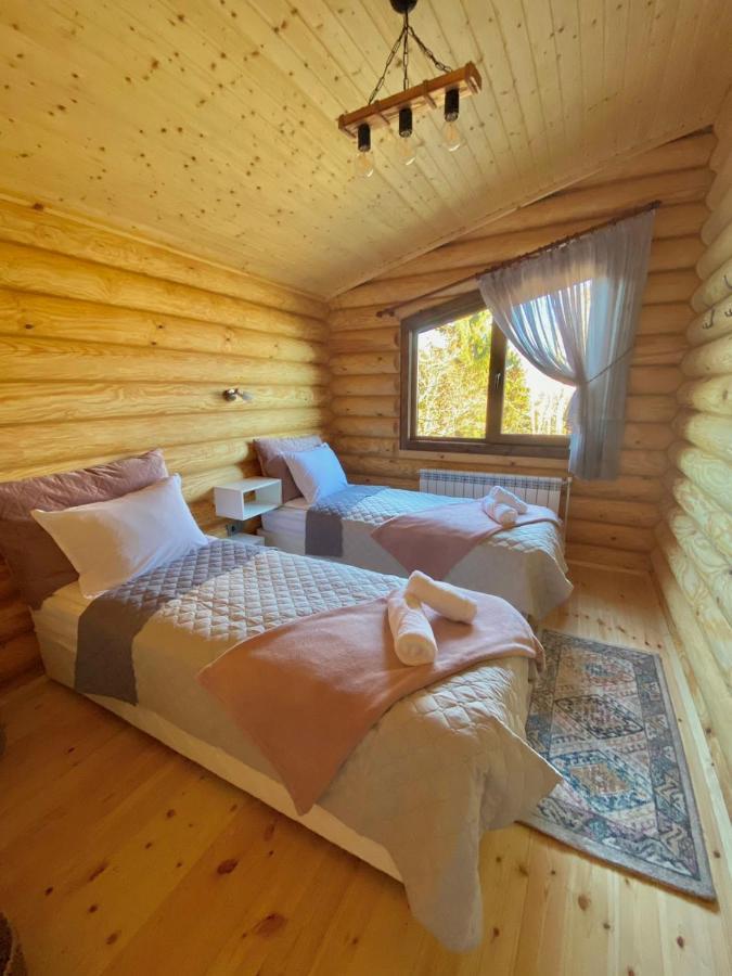 Вила Брезите Pamporovo Exterior foto