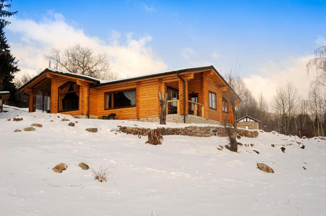 Вила Брезите Pamporovo Exterior foto
