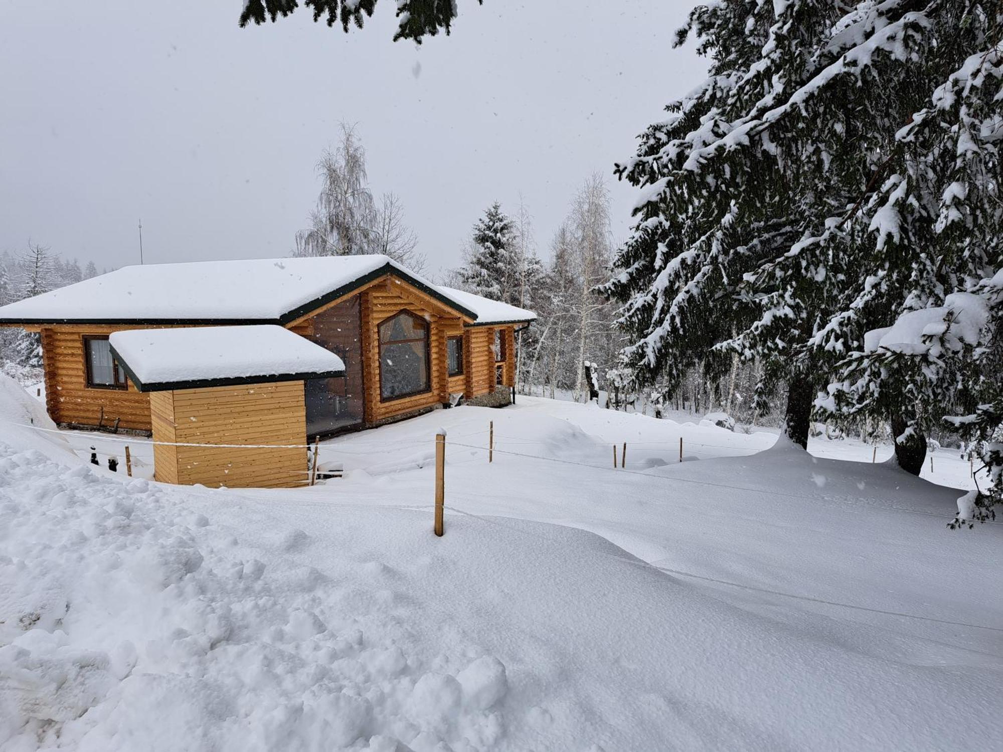 Вила Брезите Pamporovo Exterior foto